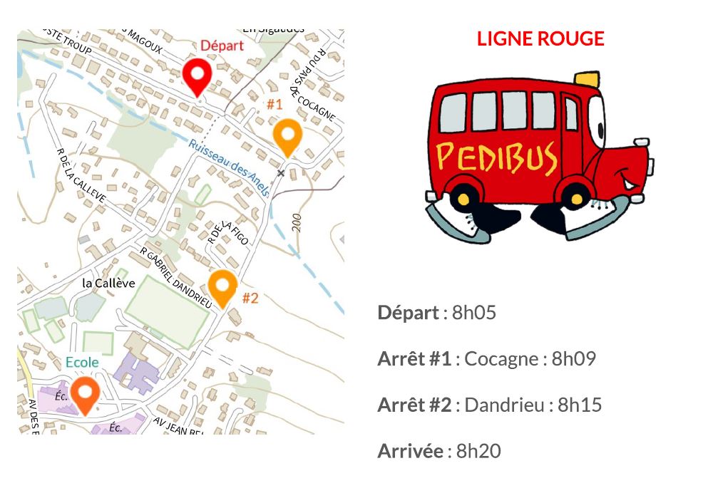petibus ligne rouge