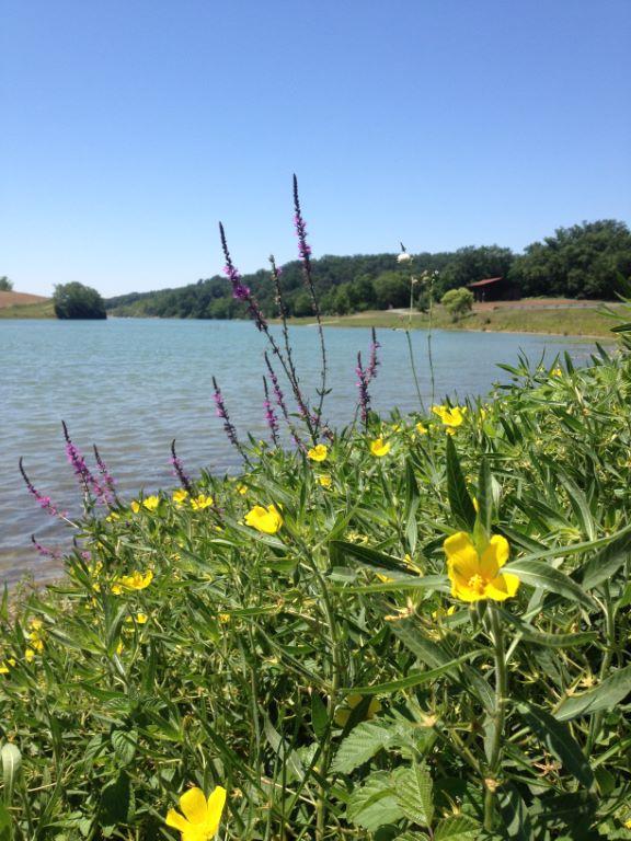 Lac de la Balerme