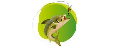 Association Agréée pour la Pêche et la Protection du Milieu  ... Image 1