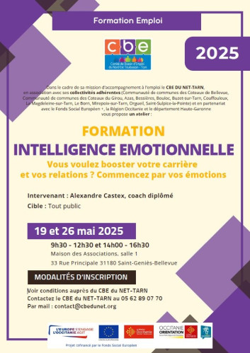 Formation intelligence émotionnelle Image 1